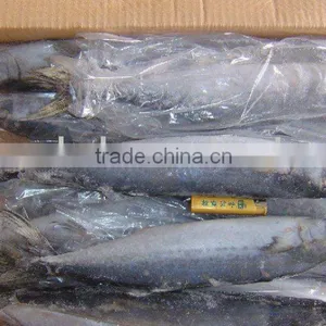 Pacific Ocean Frozen Spanish Mackerel thumbnail-1