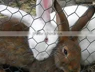Hexagonal Wire Netting Different Look thumbnail-1