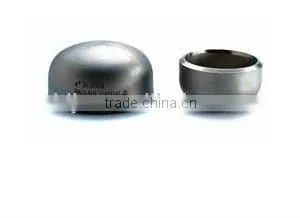 Stainless Steel Pipe Caps thumbnail-3