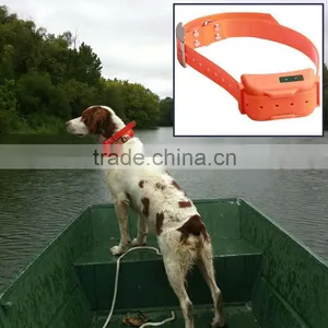 Colorful Hunting Dog Collar in Hunting Season thumbnail-5