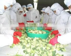 Nanjing Frostar Fruits & Vegetables Co., Ltd. company overview - view 3 thumbnail