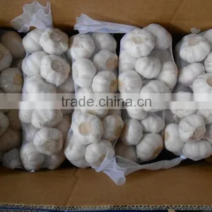 CHINA FRESH GARLIC thumbnail-3