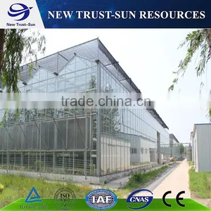 Polycarbonate/PC Multi-span Agricultural Greenhouse thumbnail-2