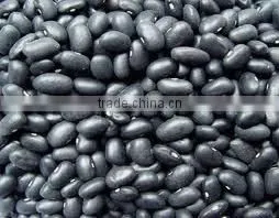Alubia White Kidney Beans thumbnail-3
