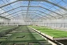 Frp Plastic Sheet Greenhouse Cover thumbnail-1
