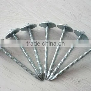 Umbrella Head Galvanized Roofing Nails thumbnail-1
