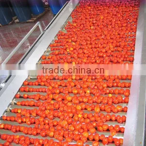 Tomato Ketchup Line thumbnail-1