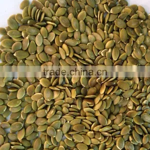 Wholesale Pumpkin Seeds Shine Skin Grade A thumbnail-2