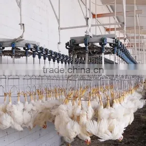 Chicken Slaughter House/poultry Processing Plant Machinery thumbnail-1