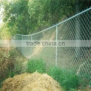 PVC Chain Link Fence(SO9001) thumbnail-1