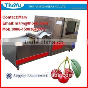 Professional Durable Cherry Stone Extractor(SMS: 0086-15903675071) thumbnail-1