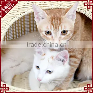 S&D China Manufacturer Wholesale Warm Heated Pet Bed/pet House thumbnail-6