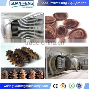 China Wholesale High Quality Vacuum Food And Vegetables Lyophilizer Machine Price thumbnail-1