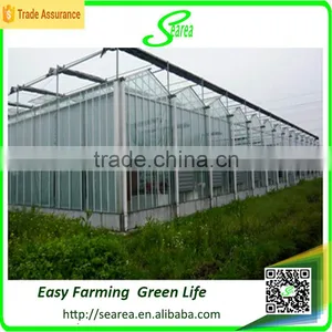 Agricultrual Sloar Polycarbonate Greenhouse Project thumbnail-2