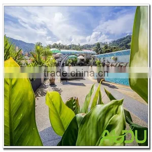 Audu Thailand Sunny Hotel Project Beach Swimming Pool Chair thumbnail-1