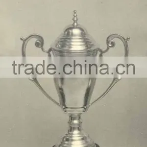 Silver Trophy, Trophies, Metal Trophy, Trophies & Awards, Sports Awards, Trophe, Trophys, Trophy, Trophies Cups, thumbnail-1