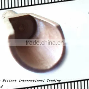 Wood Spoon for Coffee Bean thumbnail-2