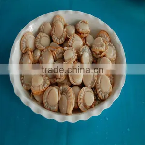 High Quality Roe on Cooked Frozen Scallops Seafood thumbnail-1