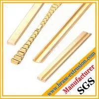 Watch Belt Brass Extrusion Profile Section thumbnail-1