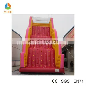 2016 Hot Selling Climbing Wall Inflatable Rock Climbing Wall Kids and Adults Rock Climbing Walls thumbnail-2