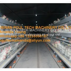 Rwanda Poultry Farm A Type Battery Female Male Chicken Cage & Layer Breeding Cage Used in Chicken House thumbnail-1