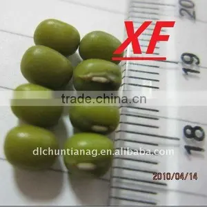 Green Mung Bean Organic thumbnail-1