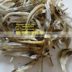 DRIED ANCHOVY FISH thumbnail-2