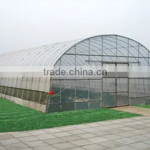 Plastic Film Solar Tunnel Greenhouse thumbnail-1