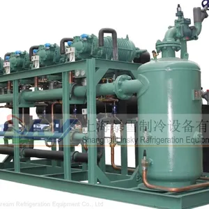Compressor Condenser Unit for Cold Room thumbnail-1