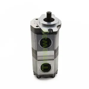CBW Hydraulic Gear Pump CBWmbe-F4.0-F4.0-AL Industrial Double Gear Oil Pump High-Performance thumbnail-1