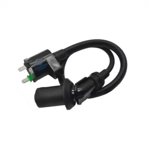 Ignition Coil (EW-5908B) thumbnail-1