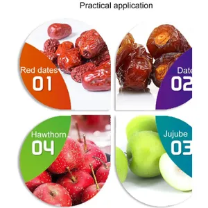 Turnkey Project Complete Set of Palm Dates Processing Line Date Syrup Production Line thumbnail-3