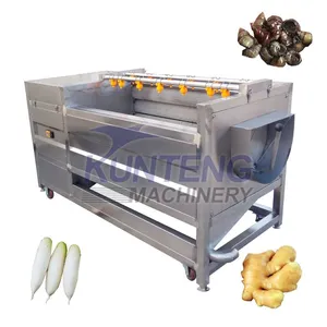 Commercial Vegetable Washer Mussel Cleaning Machine Ginger Carrot Sweet Potato Radish Washing Peeling Machine in Pakistan EPC thumbnail-1