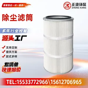 Dust Filter Cartridge Pleated Air Filter Cartridge Industrial Dust Collector Filter Cartridge For Powder Dust Removal thumbnail-1
