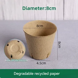 Disposable Jiffy Pot 100% Compostable 6Pack Plantable Seedling Pot thumbnail-4