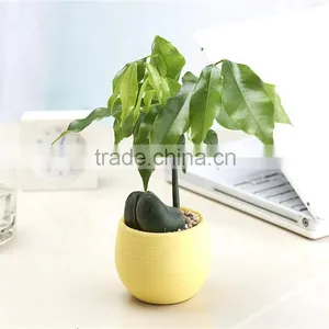 Small Plastic Flower Planter Pot Custom Made thumbnail-1