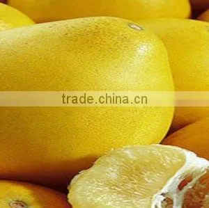 New Crop Fresh Sweet Pomelo thumbnail-1