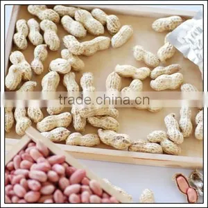New Crop Roasted Peanuts Inshell thumbnail-1