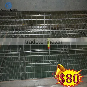a Type Cheap Price Chicken Cage for Hen thumbnail-1