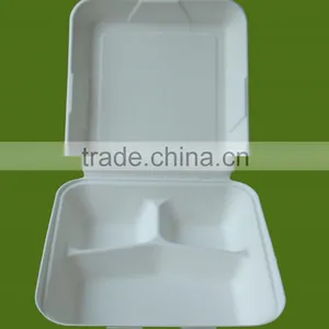 Compostable Takeout Food Container thumbnail-1