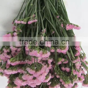 Fresh Factory Direct Fresh Cut Myosotis Flower thumbnail-5