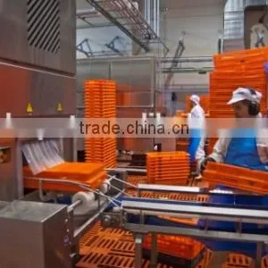 Stainless Steel SUS304 Plastic Crate Washing Machine For Food / Poultry thumbnail-3