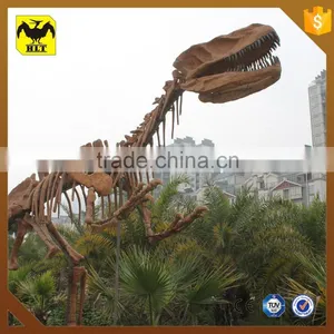 HLT On Exhibit Dinosaur Footprints Fossils Of Dinosaur thumbnail-1