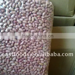 2014 Crop Shandong Peanut thumbnail-5
