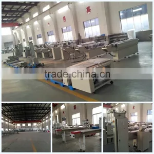 Low Price and Hig Quality Hot Sell Biscuit Packaging Machine China Factory Supply thumbnail-4