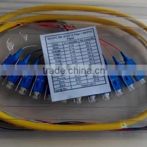 sc 12 Core Bundle Fiber Optic Pigtail,funout Optical Fiber Pigtails thumbnail-3