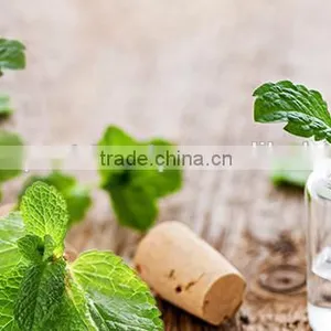 100% Natural Peppermint Oil | Pure Peppermint Oil For Export thumbnail-3