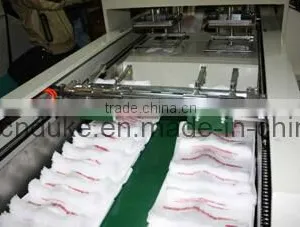 Dfhq Type Hot Cutting Automatic T-Shirt Bag Making Machine thumbnail-3