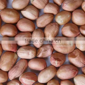 Java Peanuts Suppliers thumbnail-1