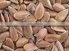 Organic LIN & FLAX SEED thumbnail-1